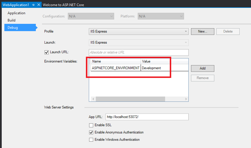 Project Properties Setting Environment variables