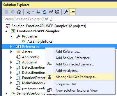 Open Nuget Package Manager